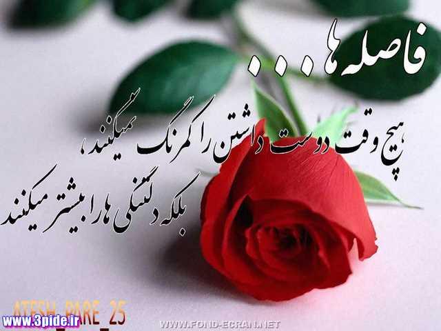 5429 **علی آقا**