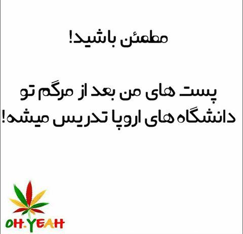 54756 بردیا