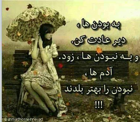 55231 شقایق57