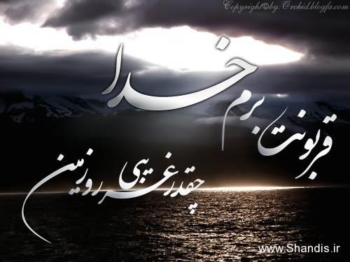 5528 **علی آقا**