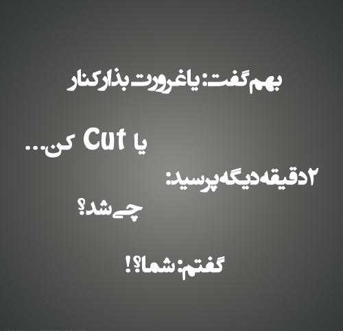 55665 مستی44