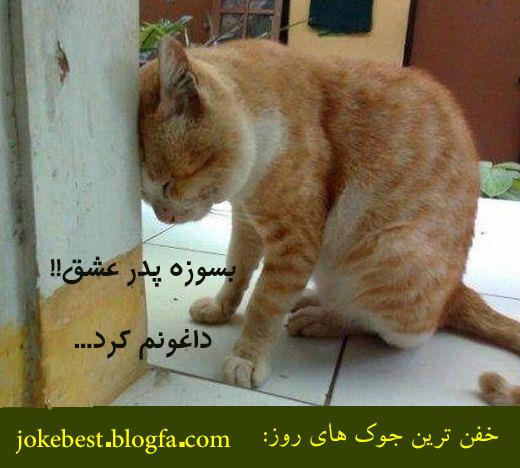 55773 بنی آدم