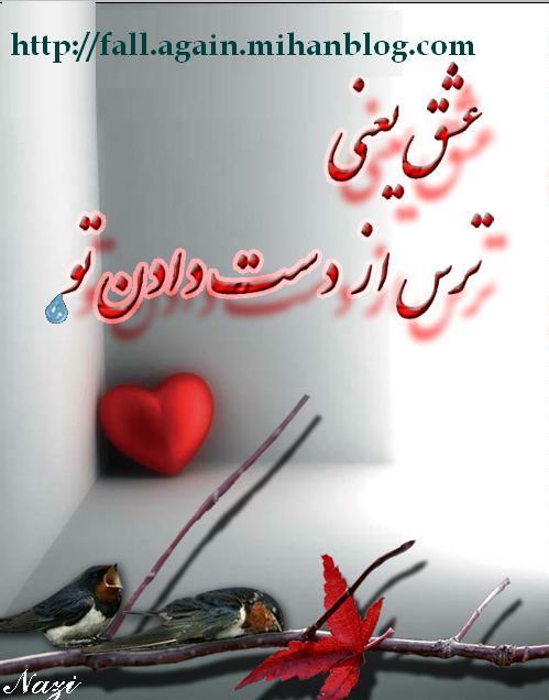 6241 **علی آقا**