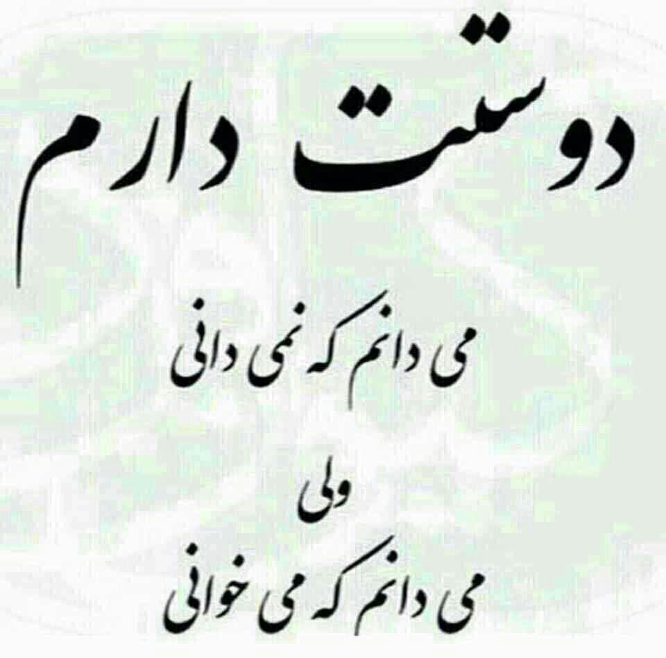 63667 شقایق57