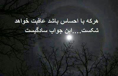 64321 ریبین