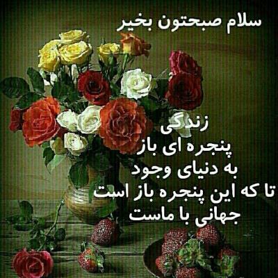 65565 حامد رضایی