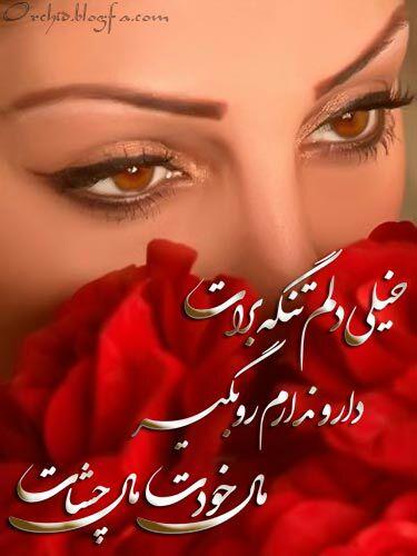 66368 علی عبادی12