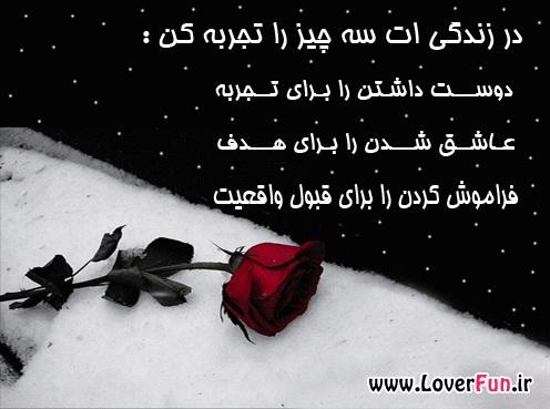 6657 **علی آقا**