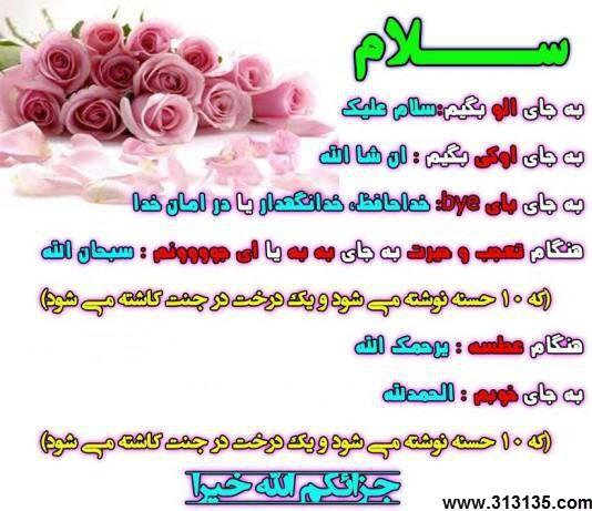 67006 بانوی سرخ 18