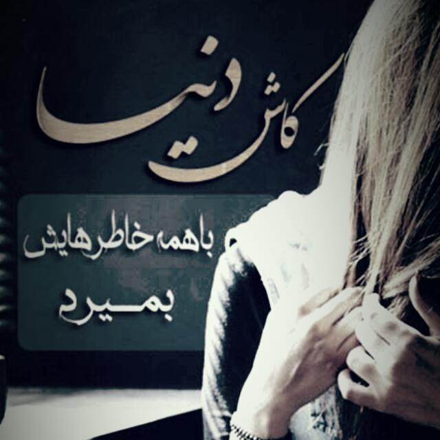 شبکه اجتماعی مهسا 29