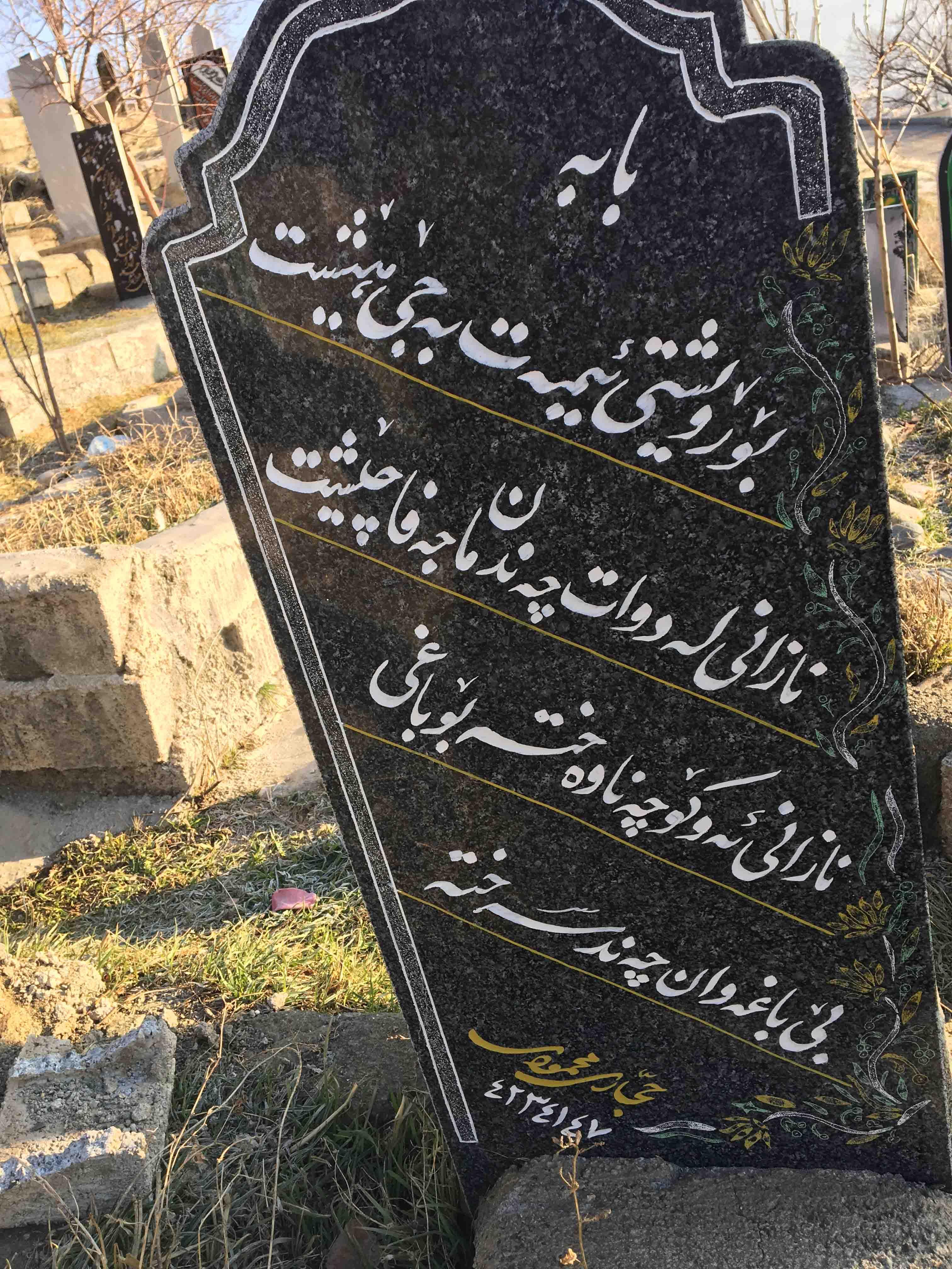 67676 ریبین