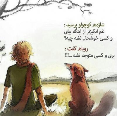 73576 علی آقای بارانی