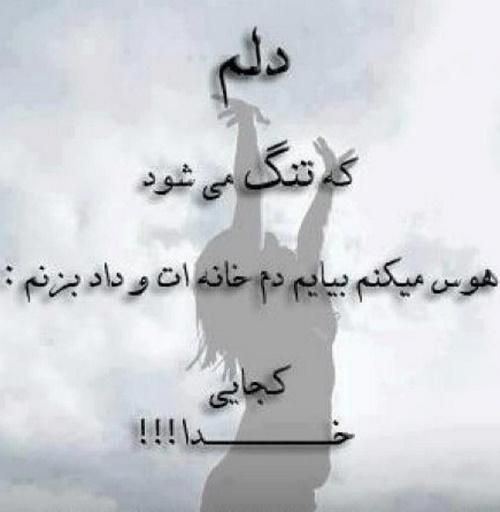 73593 علی آقای بارانی