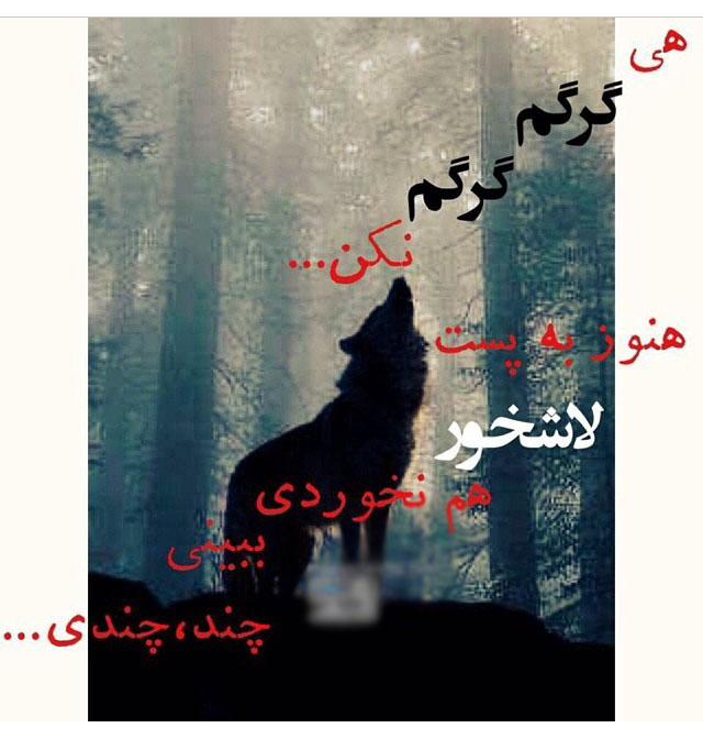 73667 علی آقای بارانی