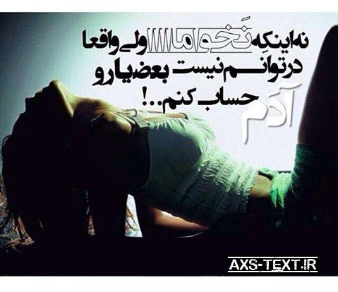 آدم حساب کردن zahra1375