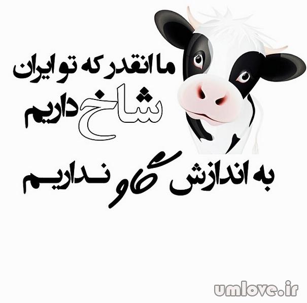 لرد بزرگ دخت بندری