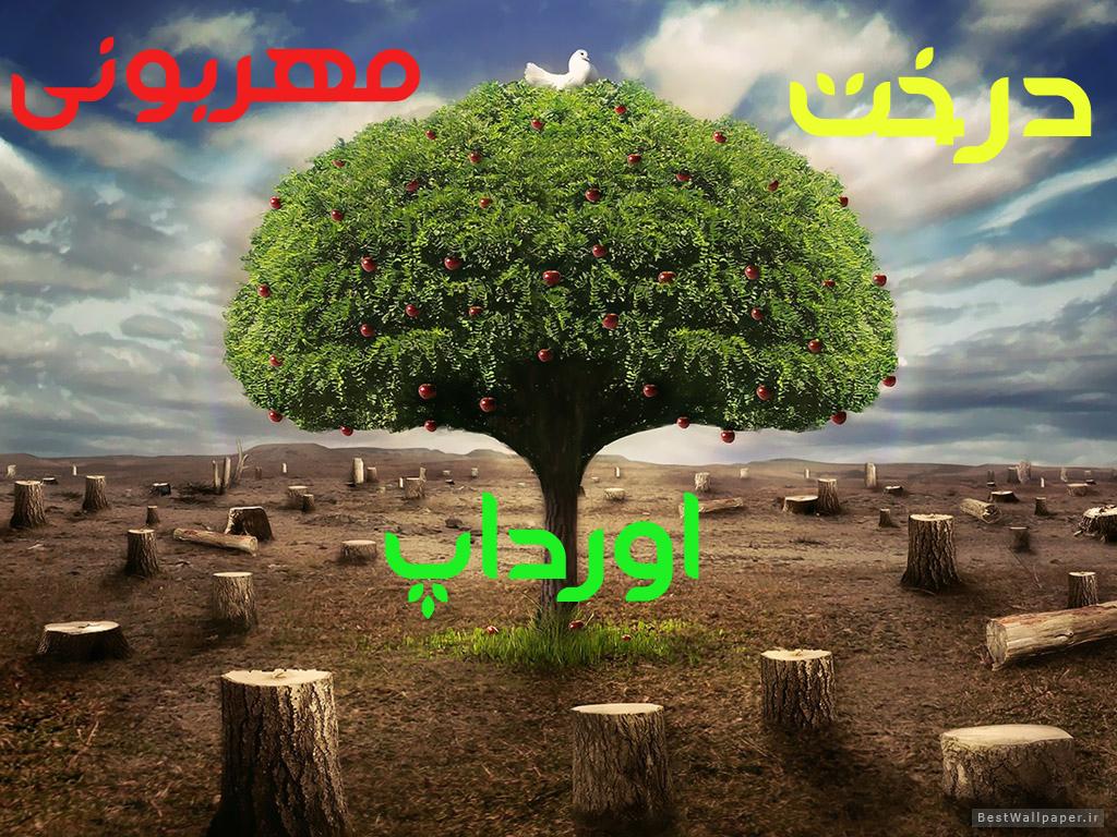 www.ordup.com ساقه طلایی