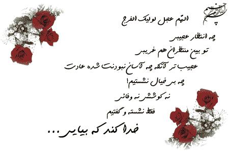 7769 دخت بندری