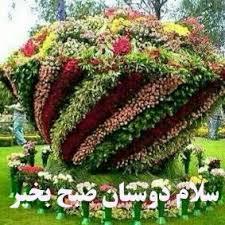 78637 فردین_ستاره