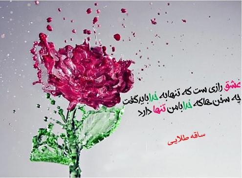 78986 ساقه طلایی