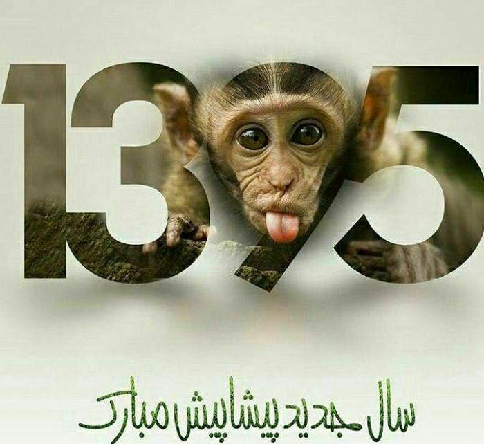 83732 وحیدجون1