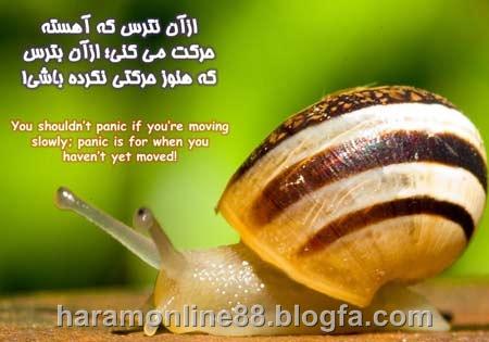 8625 **علی آقا**