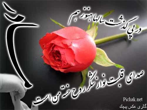 86744 بنی آدم