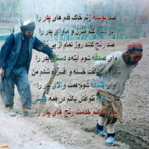 8678 **علی آقا**