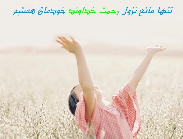 www.ordup.com الناز33