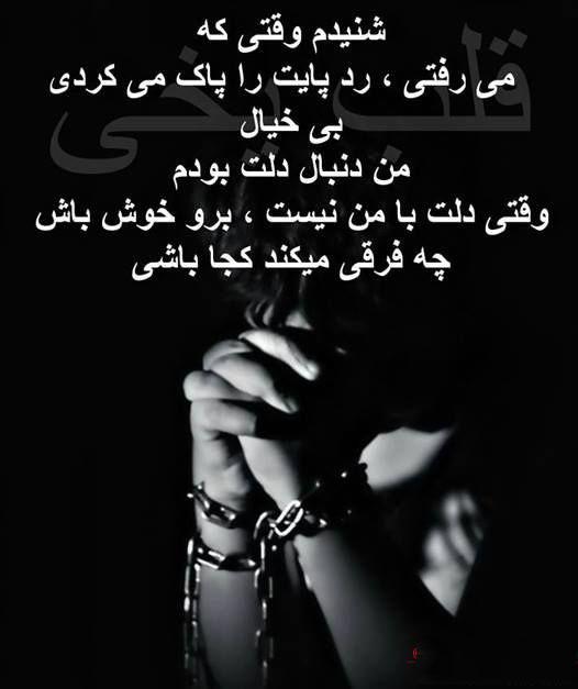 9054 **علی آقا**