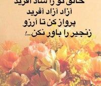 خالق تو را شاد آفرید خاله سارا