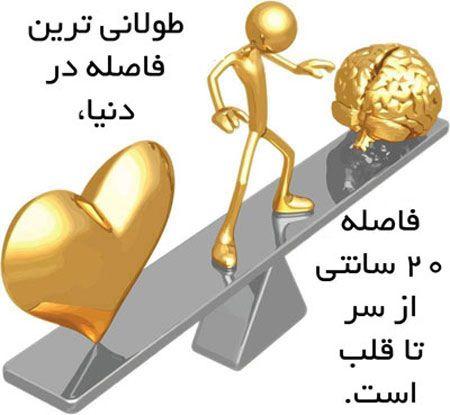 94024 زندگی 939