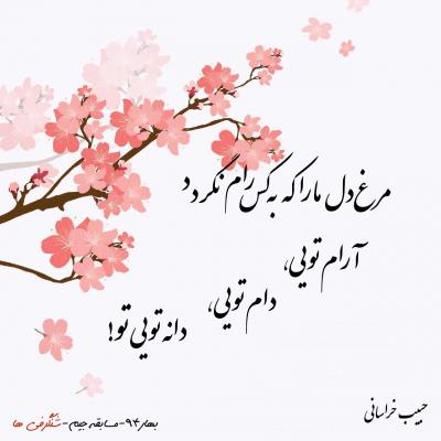 مرغ دل ما که به کس رام نگردد ارام تویی..دام تویی..دانه تویی مدیر1