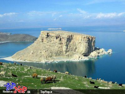 9856 مدیریت سایت