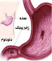 98925 دکتر567