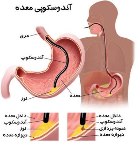 98931 مهدی عزیز11